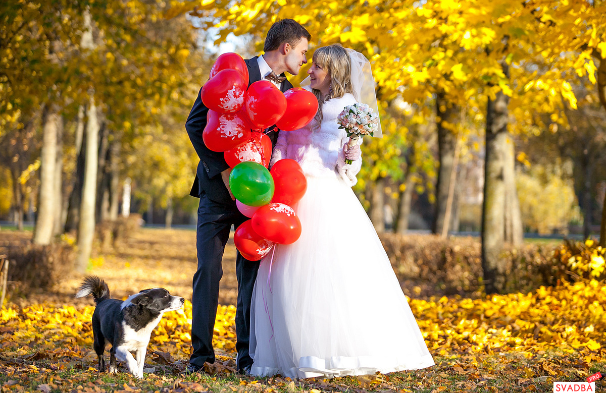 Wedding Ceremony